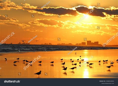 Golden Sunset Over Myrtle Beach Coastal Stock Photo 2566516501 ...