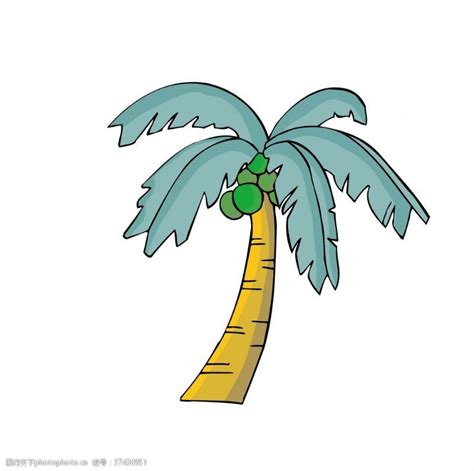 椰子树卡通图片免费下载_椰子树卡通素材_椰子树卡通模板-图行天下素材网