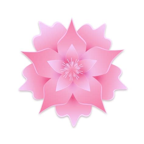 Top view cute pink flower | Free PSD