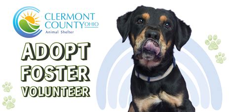 Probate Court Contact | Clermont County Ohio Government