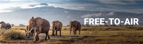 Free-to-Air(FTA) Packs: Regional & Genre wise bundle Packs - Dish TV