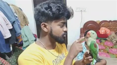 Keonjhar youth arrested for uploading video of pet parrot on social media