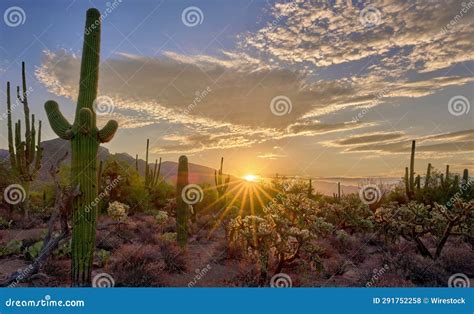 Spectacular Sunrise in Sabino Canyon, Tucson, AZ with Tall Saguaro ...