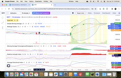 Screener Tutorial 的图像结果