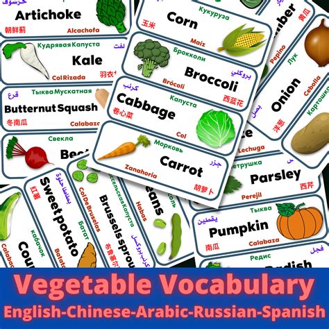 What Words In Spanish Come From Arabic at Theresa Hanson blog