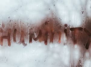 LifeStyle - Latest Lifestyle News, Hot Trends, Celebrity Styles & Events