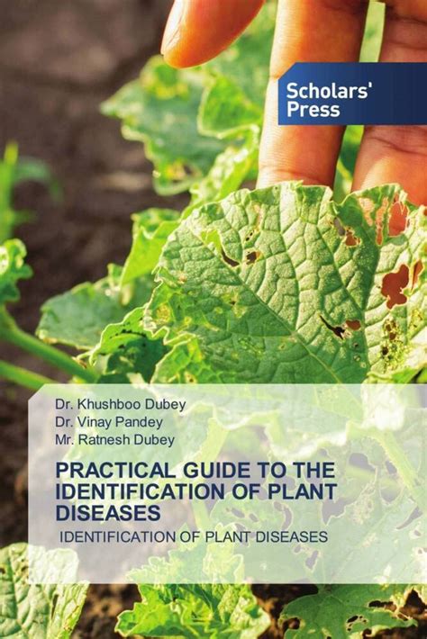 Buy Practical Guide to the Identification of Plant Diseases Book Online ...