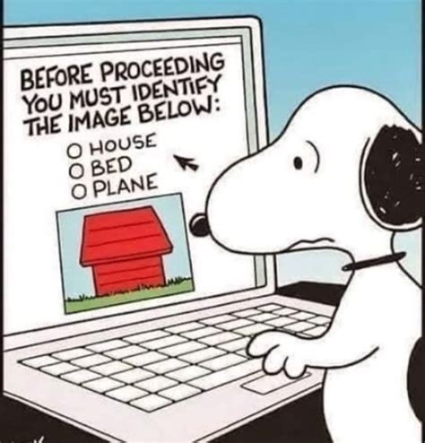 There is no sense in doing a lot of barking if you don't really have ...