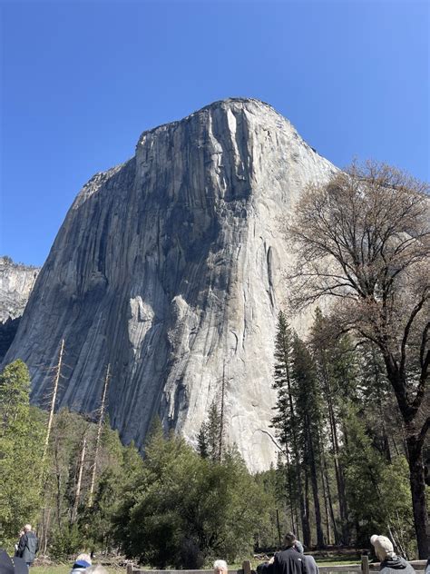 Yosemite Valley Floor Tour: Everything you need to know | THNE
