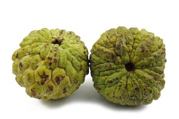 Custard Apple