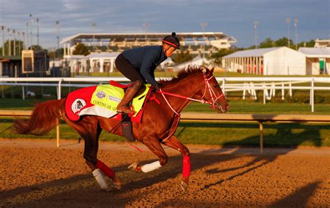 Kentucky Derby Horse Bites Other Horse at Erwin Marlatt blog