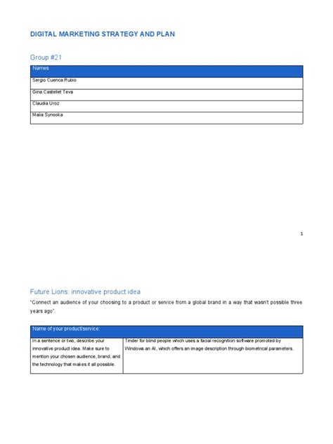 Digital Marketing Plan Example 的图像结果