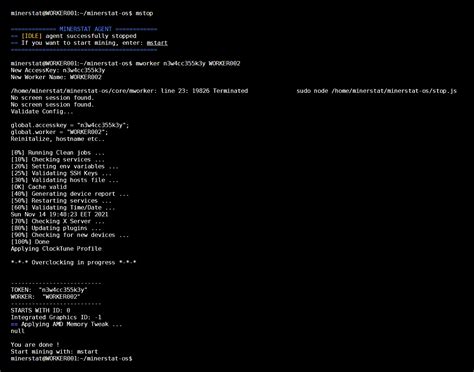 Setting Up Minerstat 的图像结果