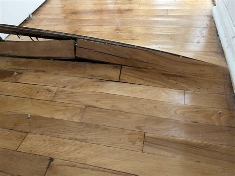 Hardwood floor buckling : r/Flooring