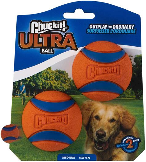 The 6 Best Automatic Dog Ball Launchers of 2024