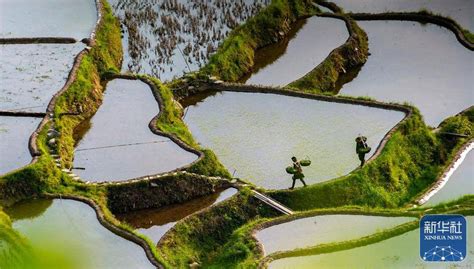 贵州余庆：谷雨将至农事忙-人民图片网