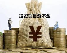 Image result for 投资资本金