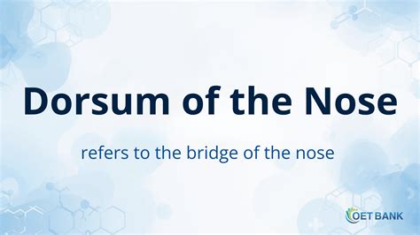 Dorsum of the Nose – Meaning and Usage in Medical English | OET BANK