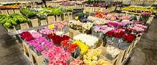 grossista fiori 3 caratteristiche deve avere un buon grossista di grossista fiori 3 caratteristiche deve avere un buon grossista di