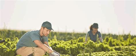 Federal Study Links Widely Used Pesticide to Higher Cancer Risks in ...