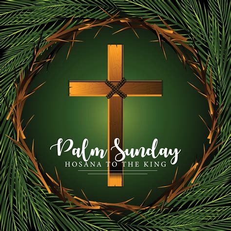 Discovering The Significance Of Palm Sunday: Origins, Customs, And The Importance Of The Donkey ...