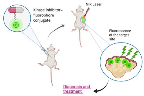 Design Principles and Applications of Fluorescent Kinase Inhibitors for ...