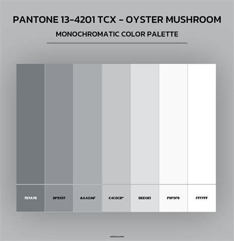 PANTONE 13-4201 TCX - Oyster Mushroom color palettes - colorxs.com