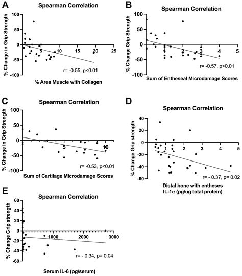 Repetitive Overuse Injury Causes Entheseal Damage and Palmar Muscle ...