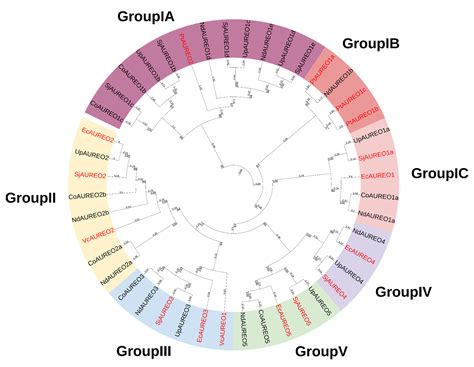 Genome-Wide Identification and Analysis of the Aureochrome Gene Family ...