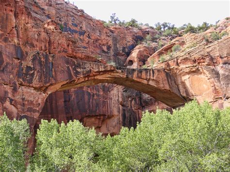 Under-Escalante-Natural-Bridge | NABS Blog