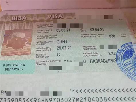 俄罗斯护照主表盘护照指数 2024