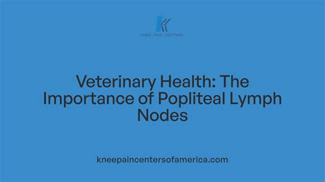 Picture of Swollen Popliteal Lymph Nodes