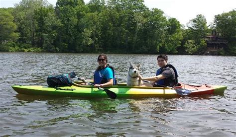 PENGUIN PADDLING LLC (Manassas) - What to Know Before You Go