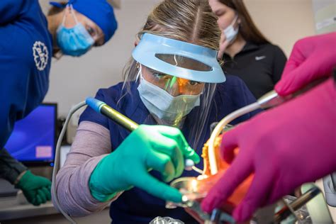 Future dentist: BGSU pre-professional program prepares student for ...