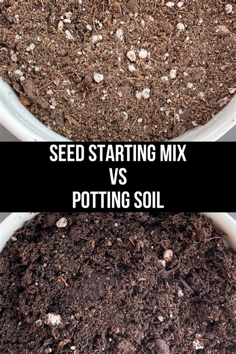 Discover the differences between seed starting mix vs potting soil to ...