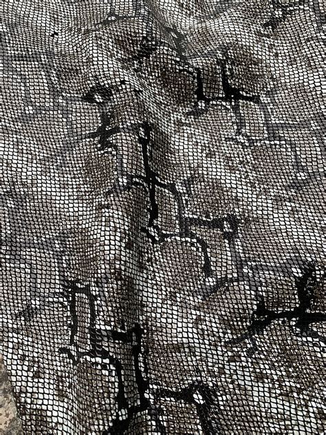 Conditioning Python Leather 的图像结果