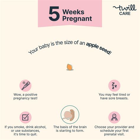 Hot Bath While 5 Weeks Pregnant at Ronald Pepper blog