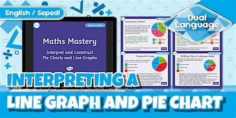 Grade 4 Maths Interpreting a Line Graph & Pie Chart Maths