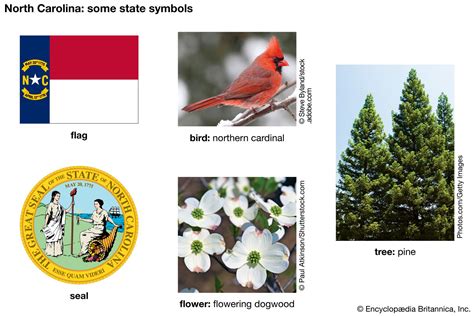 North Carolina - Kids | Britannica Kids | Homework Help