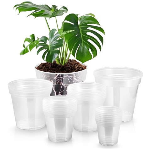 Large Clear Plastic Plant Pots Huge Clear Plastic Flower Pots