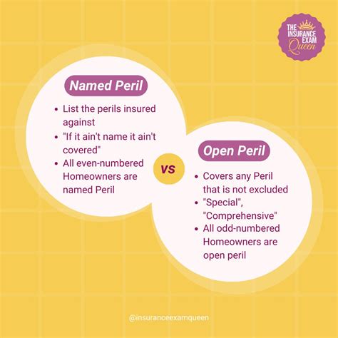 Image result for Insurance Queen Study