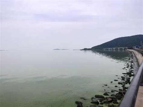 环保总局调查组赴无锡调查太湖污染_资讯_凤凰网