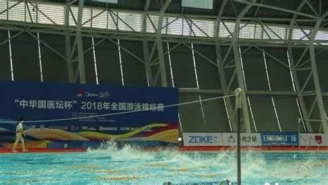 绍兴游泳运动员在2018年全国游泳锦标赛中争金夺银！_自由泳
