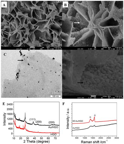 Three-Dimensional Au/Holey-Graphene as Efficient Electrochemical ...