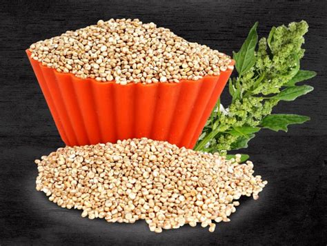 Wholesale Quinoa Seeds Supplier,Quinoa Seeds Distributor from Delhi India