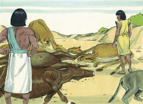 Plague on livestock | Plagues of egypt, 10 plagues, Moses plagues