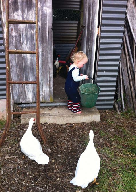 Nature Kids 的图像结果