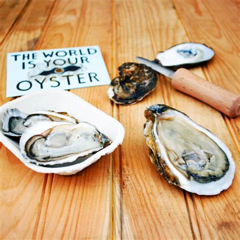 East Coast Oyster Varieties