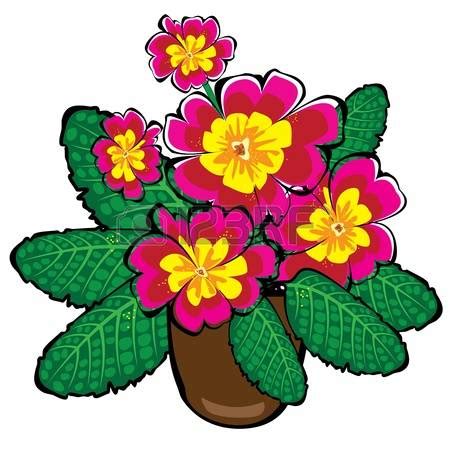 Primroses clipart 18 free Cliparts | Download images on Clipground 2025