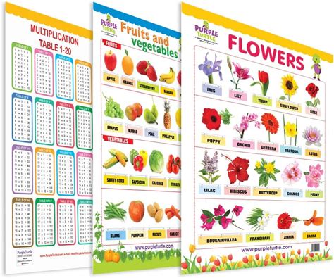 Flowers Fruits And Vegetables And Multiplication Table Educational Wall ...